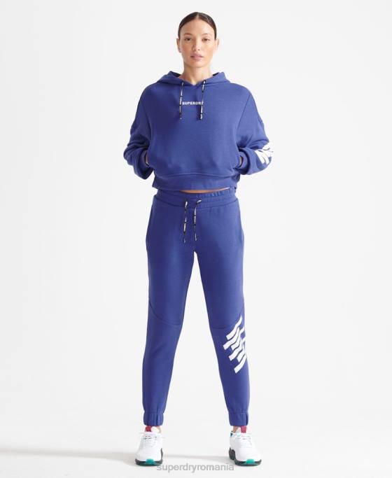 Superdry antrenează joggeri de bază îmbrăcăminte albastru femei JX0Z6354