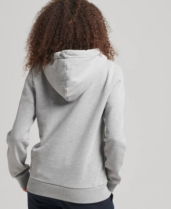 Superdry hanorac cu logo grafic curcubeu îmbrăcăminte gri femei JX0Z5892