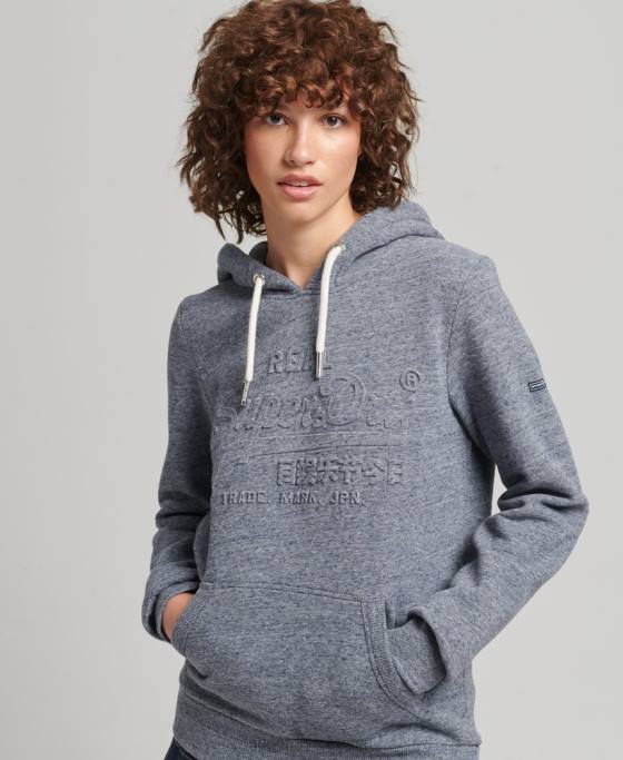 Superdry hanorac cu logo grafic în relief îmbrăcăminte albastru deschis femei JX0Z3396