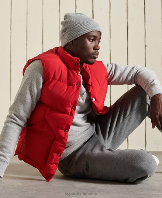 Superdry hanorac pentru echipaj cu logo vintage brodat îmbrăcăminte gri bărbați JX0Z750