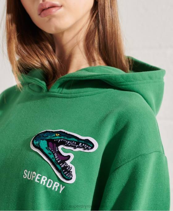 Superdry hanorac supradimensionat de franciză modernă îmbrăcăminte verde femei JX0Z6052