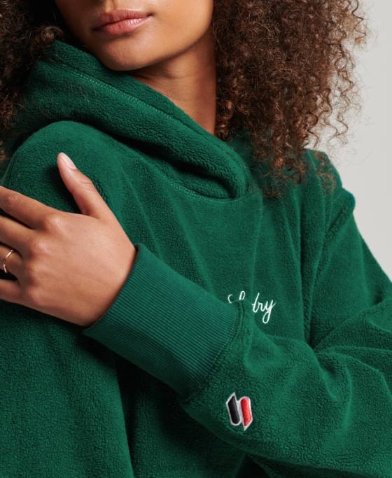 Superdry hanorac supradimensionat din fleece grafic îmbrăcăminte verde femei JX0Z5919