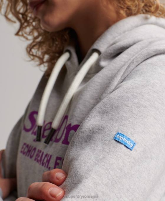 Superdry hanorac vintage pentru locație îmbrăcăminte gri deschis femei JX0Z2314