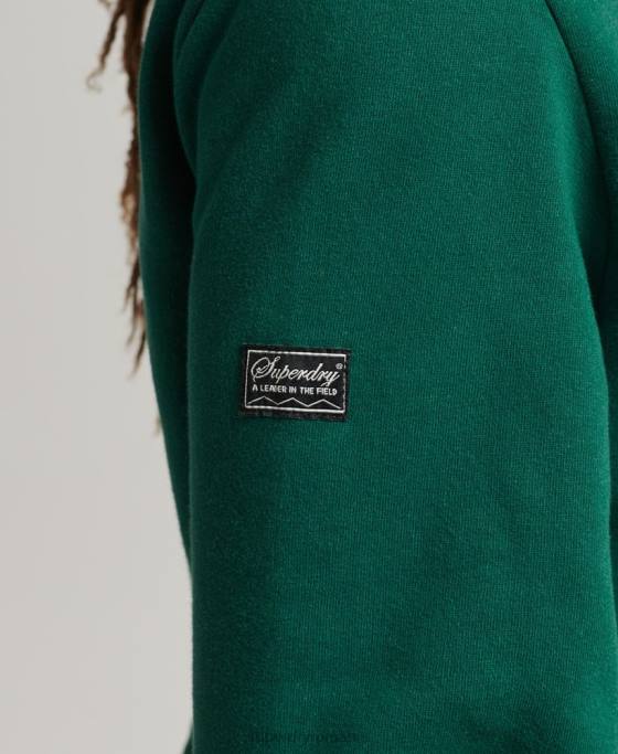 Superdry joc vintage pe hanorac cu logoul anilor 90 îmbrăcăminte verde bărbați JX0Z785