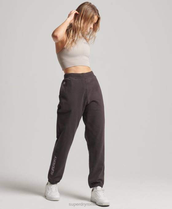 Superdry joggeri de bază îmbrăcăminte gri femei JX0Z3908