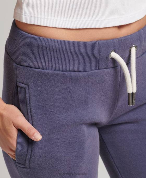 Superdry joggeri de mândrie și meșteșuguri îmbrăcăminte albastru inchis femei JX0Z3907