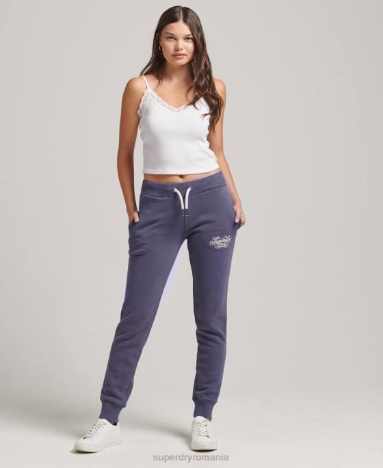 Superdry joggeri de mândrie și meșteșuguri îmbrăcăminte albastru inchis femei JX0Z3907
