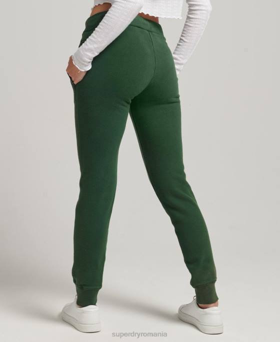 Superdry joggeri de mândrie și meșteșuguri îmbrăcăminte verde femei JX0Z3910