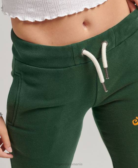Superdry joggeri de mândrie și meșteșuguri îmbrăcăminte verde femei JX0Z3910