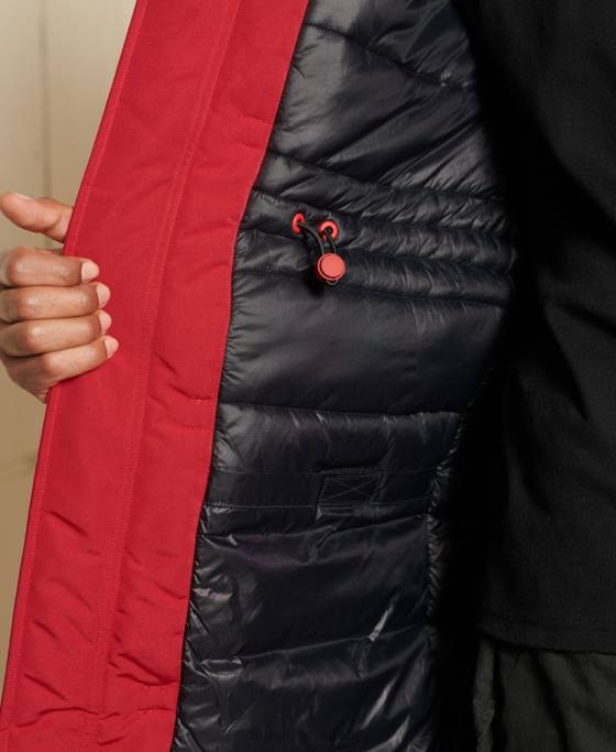Superdry parka everest îmbrăcăminte roșu bărbați JX0Z4571