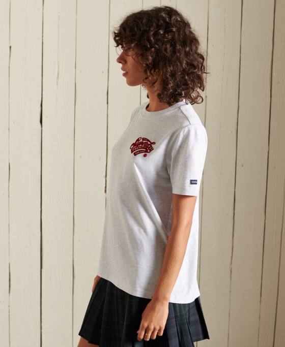 Superdry tricou flocat pentru colegiu în stil scenariu îmbrăcăminte gri deschis femei JX0Z2775