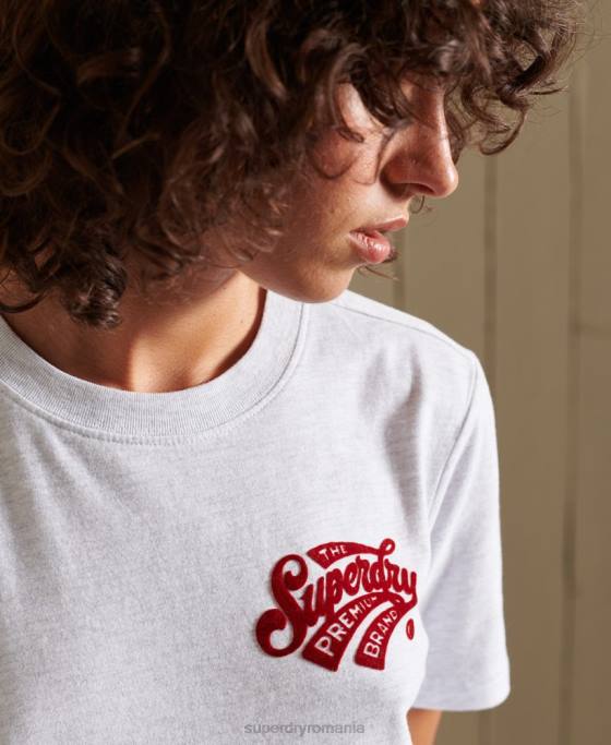 Superdry tricou flocat pentru colegiu în stil scenariu îmbrăcăminte gri deschis femei JX0Z2775