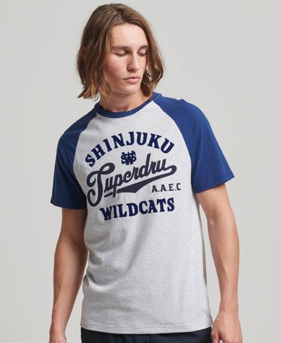Superdry tricou raglan vintage home run îmbrăcăminte gri deschis bărbați JX0Z19