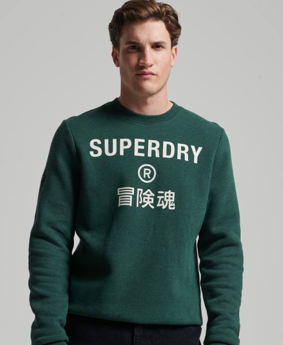 Superdry hanorac cu logo corporativ marl crew îmbrăcăminte verde bărbați JX0Z5102