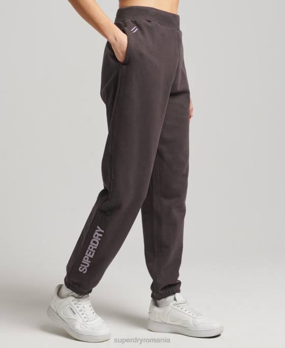 Superdry joggeri de bază îmbrăcăminte gri femei JX0Z3908